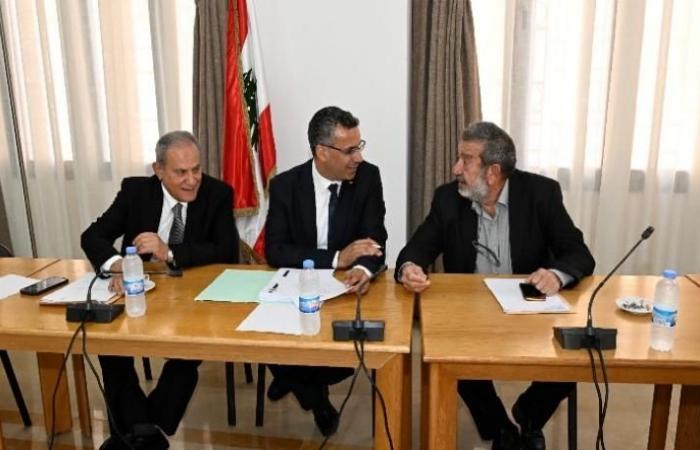 استراتيجية وطنية للزراعة.. وخطوات لحماية الأمن الغذائي!