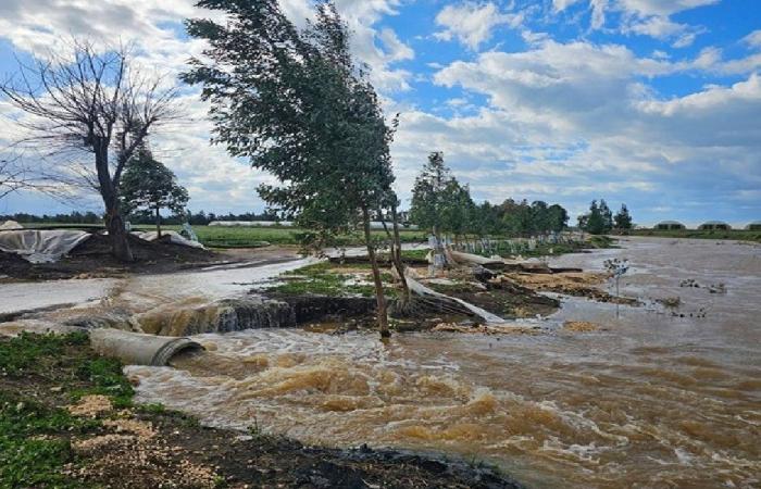 المزارعون بين فرحة الأمطار ومخاوف الصقيع والعواصف