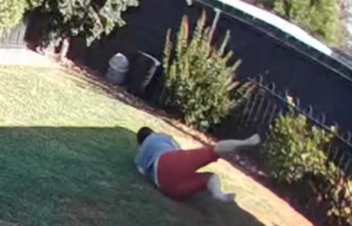 بالفيديو.. ثعبان سام وقاتل يلتف على ساق امراة وهذا ما حصل