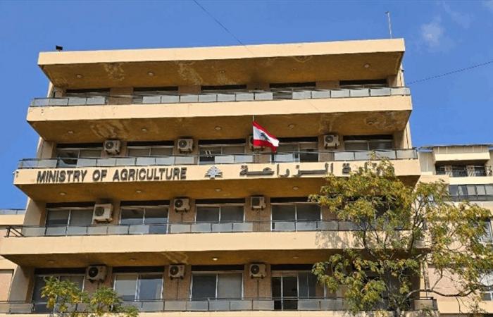 “الزراعة” تصدر قرار لتسهيل هذه المعاملات… إليكم التفاصيل