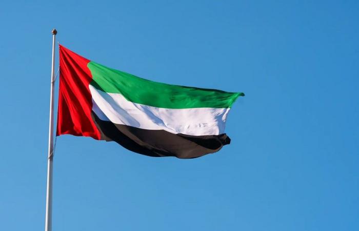 الدفاعات الإماراتية تتعامل مع 4 صواريخ باليستية و 25 مسيّرة