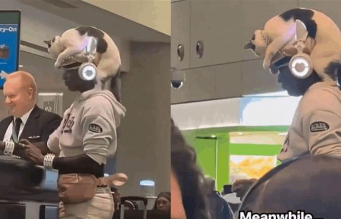 بطريقة لا تخطر على البال.. تهريب هرّة داخل المطار شاهدوا الفيديو