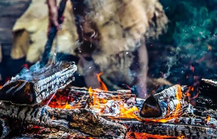 حريق يكشف كنزاً من العصر البرونزي.. العثور على "نول" عمره 3500 عام