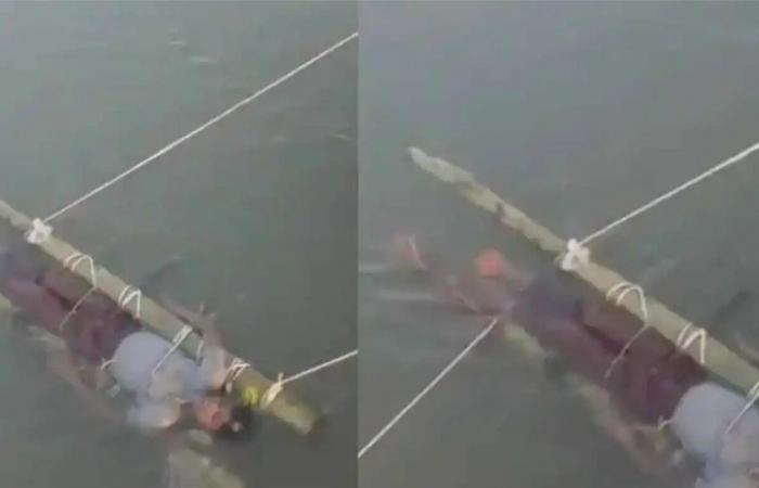 مأساة في أوتار براديش: ثعبان سام ودجال ينهيان حياة طفل