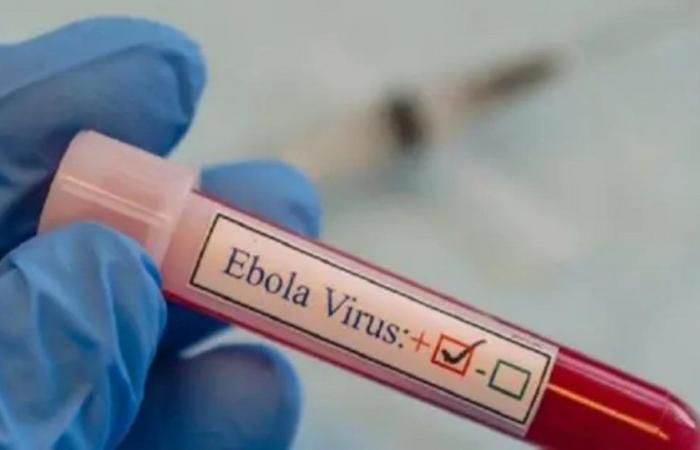 3 ساعات بين اللبنانيين وإيبولا.. كيف يواجهون الخطر بالكونغو؟