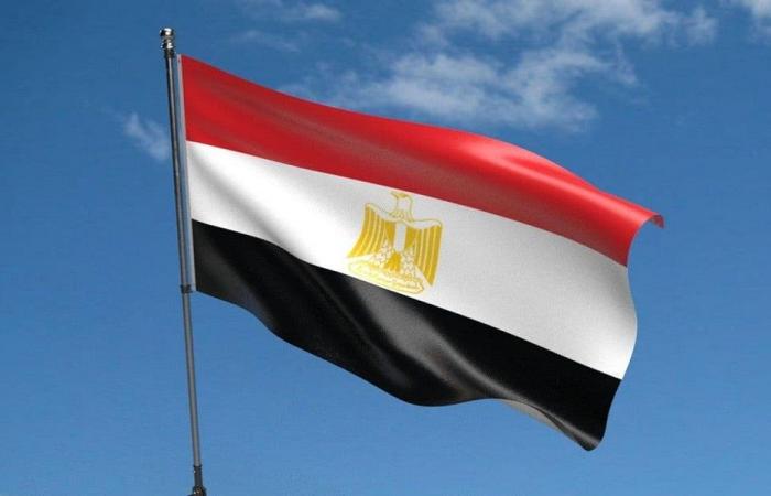 مصر: حريق السفينتين في ميناء دمياط ناتج عن مسيّرة