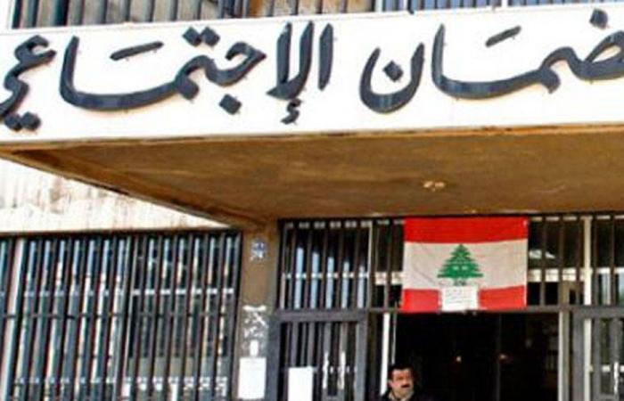 “الضمان”: تعليق التعاقد مع طبيب وصيدلي لمدّة شهر