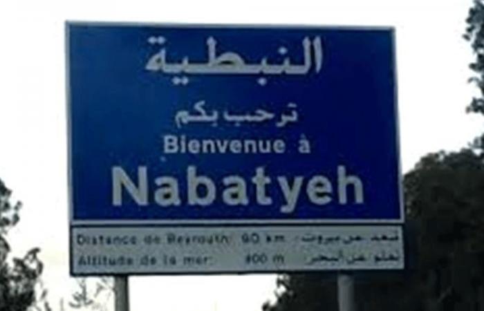 خطوات ملموسة في النبطية استجابةً لضغوط غربية وعربية