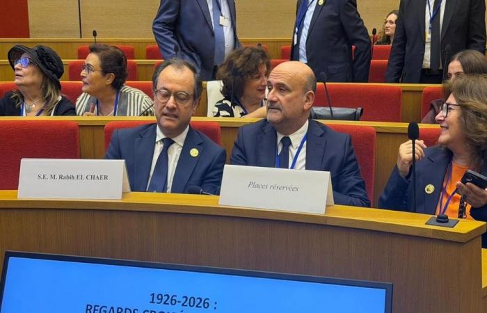 أبي رميا: مراجعة الدستور اللبناني ضرورة لتعزيز دولة القانون